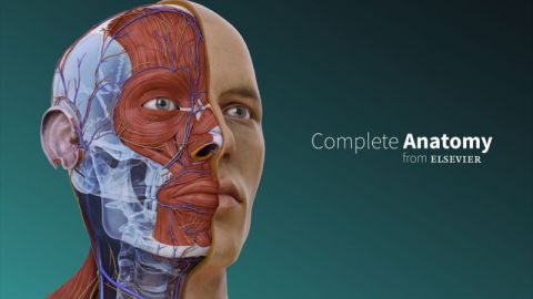 Complete Anatomy from Elsevier