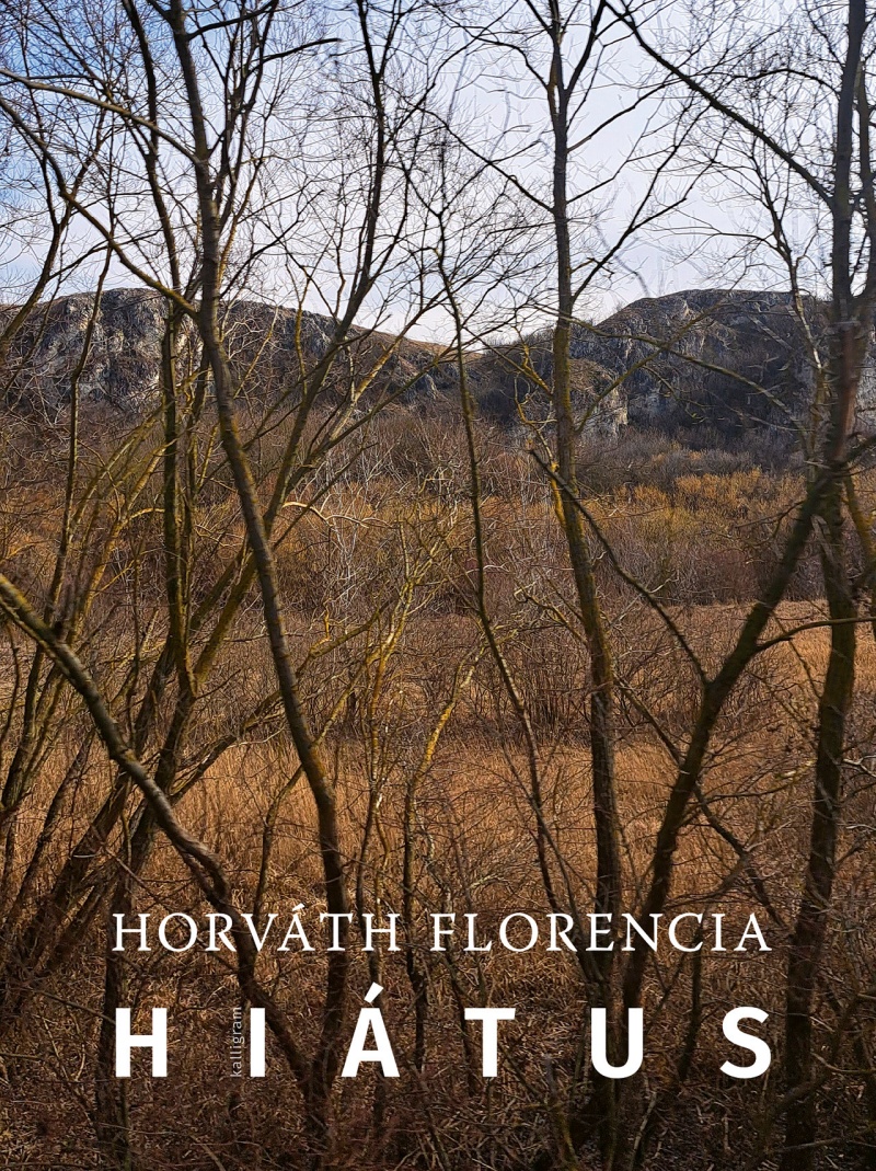 Könyvborító